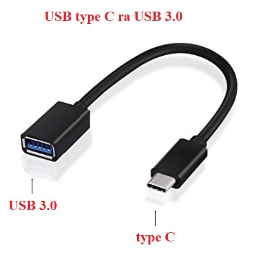 Cáp chuyển USB Type-C sang USB 3.0