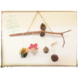 cành thông khô treo tường trang trí Giáng Sinh Noel