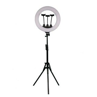 [ BÁN SỈ ] ĐÈN led live stream, livestream size LỚN 46cm chân kéo cao 2,1 mét+ 3 kẹp đt+ điều khiển-3 chế độ sáng