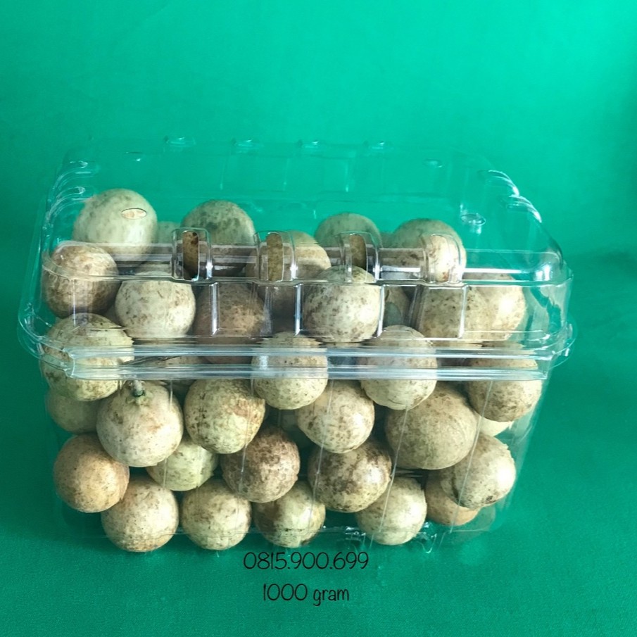 100 BỘ HỘP NHỰA ĐỰNG TRÁI CÂY (1000 gram) | BigBuy360 - bigbuy360.vn