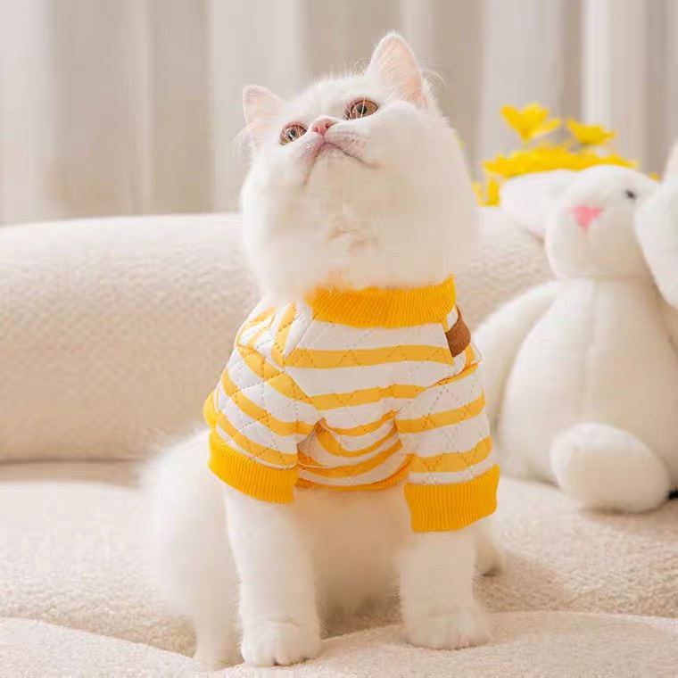 Áo cho thú cưng vải chần bông cực ấm kèm túi mặt gấu đáng yêu, áo thu đông chó mèo