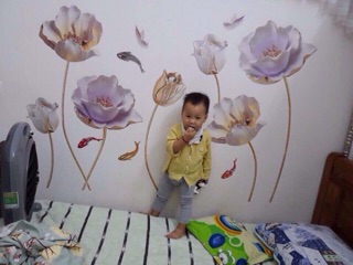 Decal dán tường