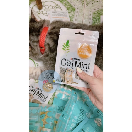 Cỏ Mèo Catnip Giúp Mèo Hưng Phấn gói 5g