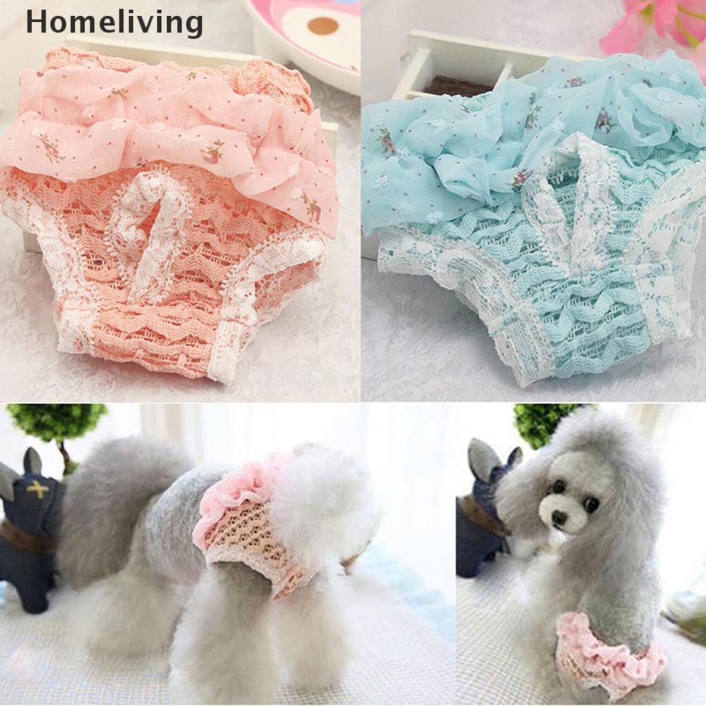 1 Quần Lót Sinh Lý Giặt Được Tiện Dụng Cho Thú Cưng