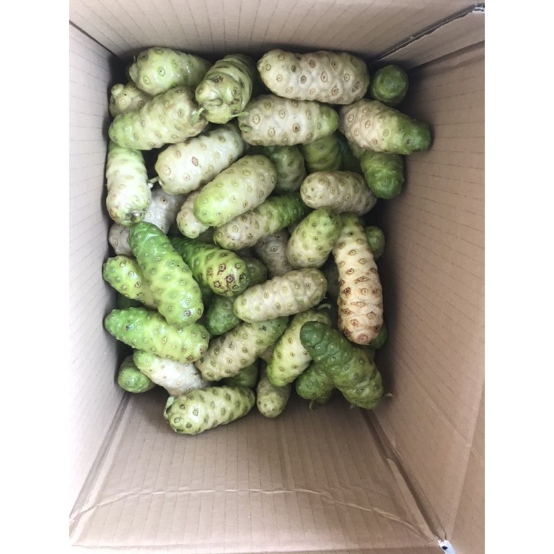 Nhàu tươi ( Chat với shop để đặt mua)