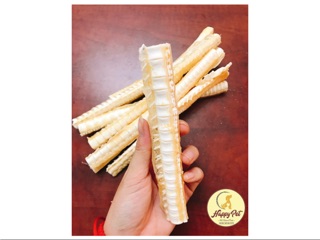 Xương Sụn Cá