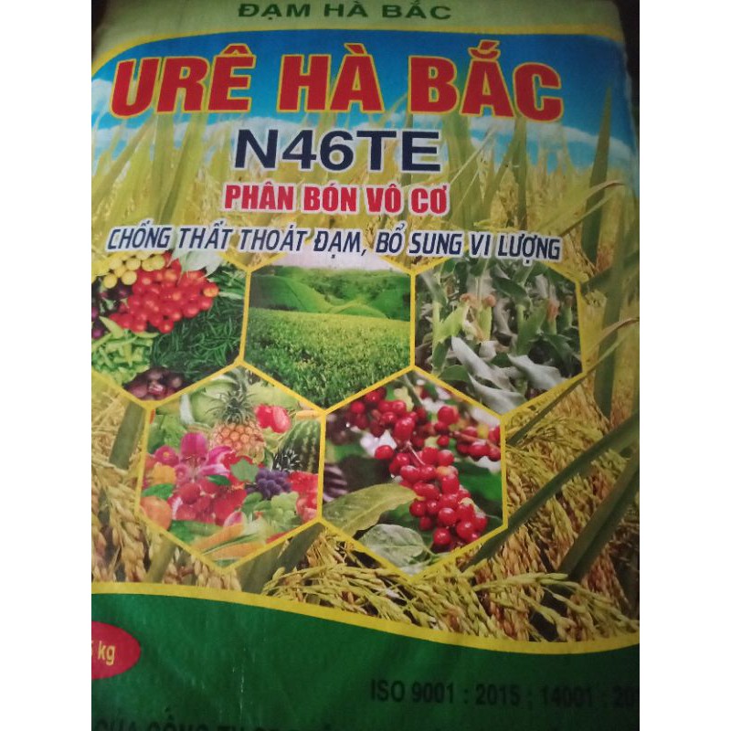 u rê đạm xanh Hà Bắc gói 200g