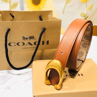 Dây thắt lưng Coach
