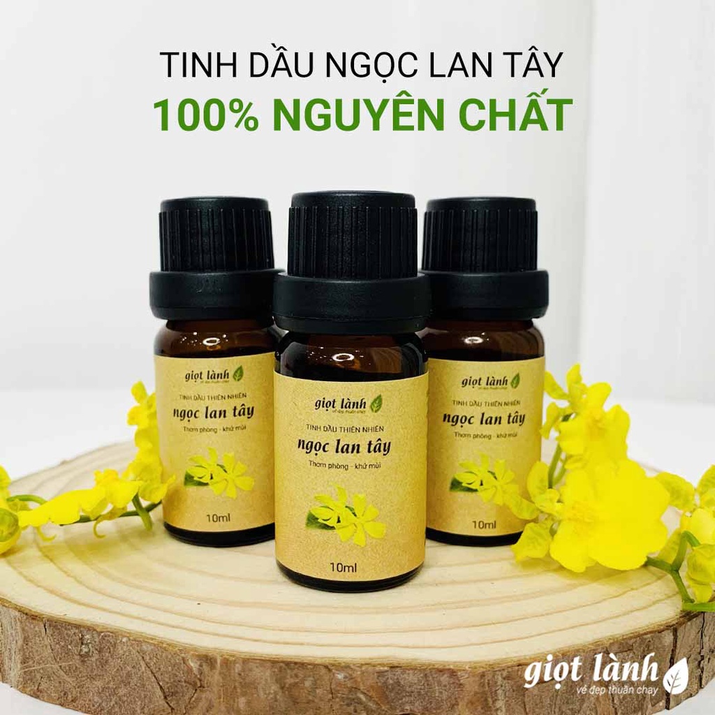 Tinh dầu Ngọc Lan Tây nguyên chất – Thư giãn, thơm phòng Giọt Lành 10ml - 50ml