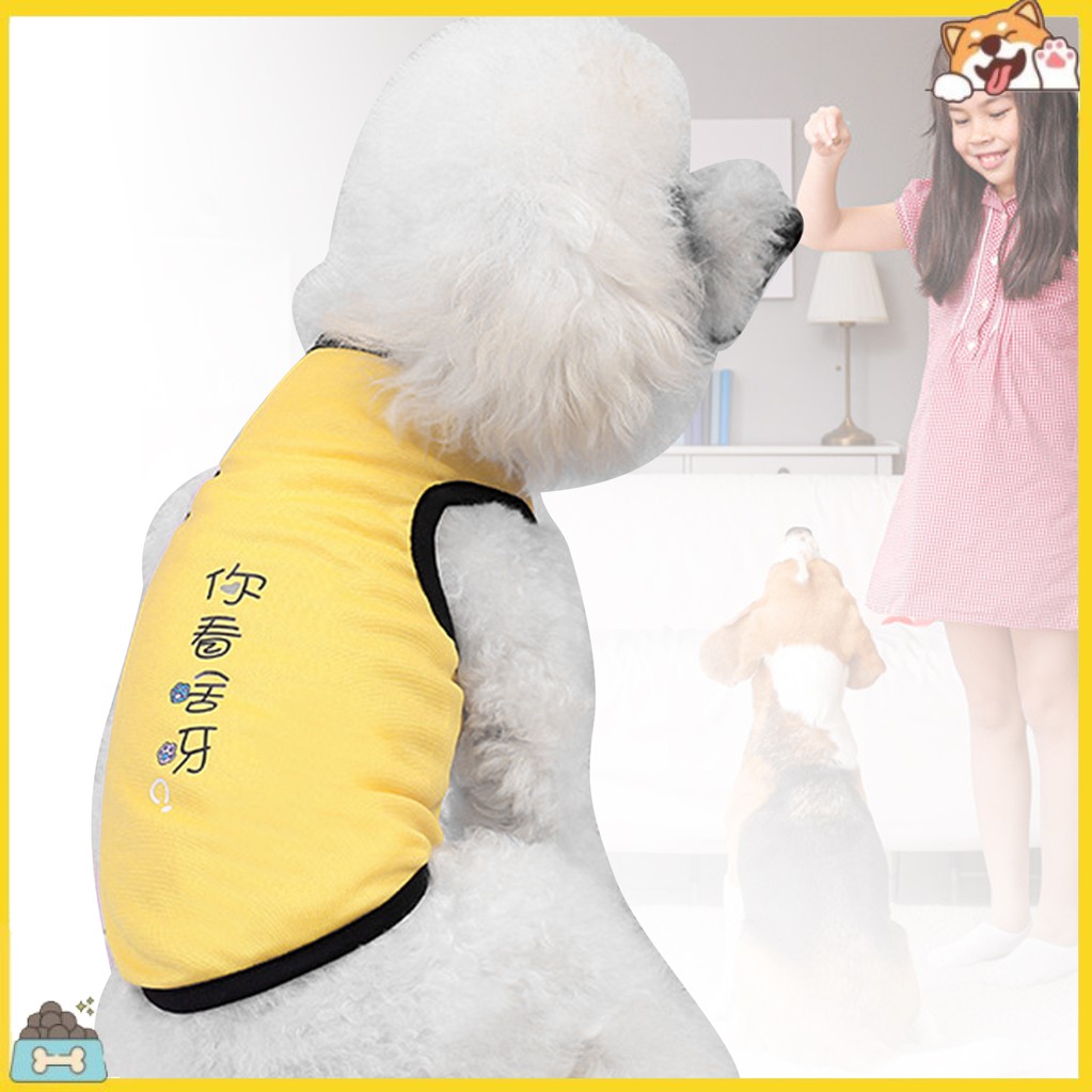 Áo thun in chữ đáng yêu dành cho thú cưng