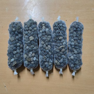 (Combo 10) Phân Dê Túi Lưới Bón Lan 10Cm