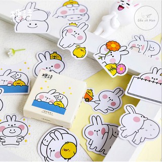 【B1.2】  HỘP 45 STICKER COOL RABIT