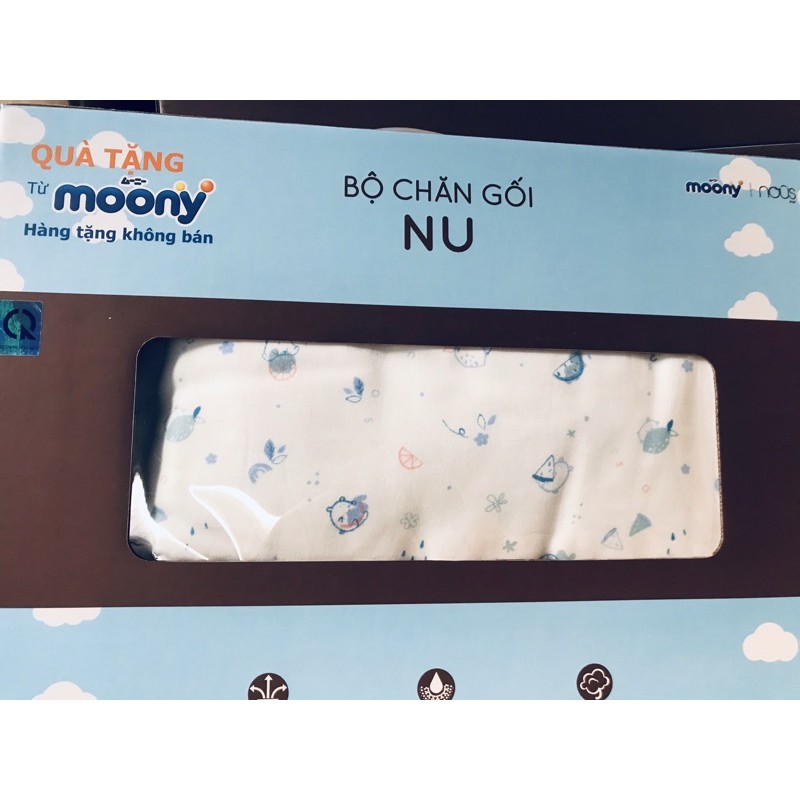 Bộ chăn gối bông Nous
