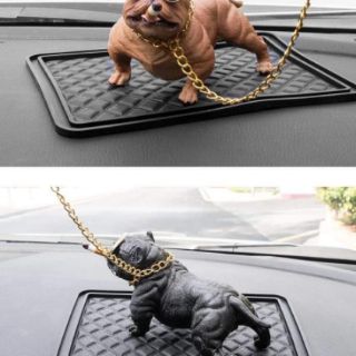 Chó bully pitbull