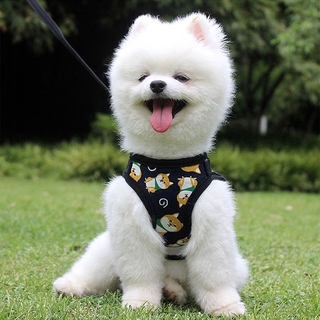 Dây Dắt Thú Cưng Đi Dạo Tiện Lợi