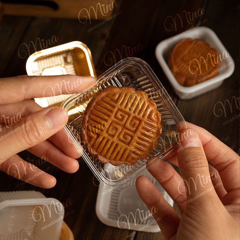 Khay đựng bánh Trung Thu/khay Trung Thu - 100 chiếc