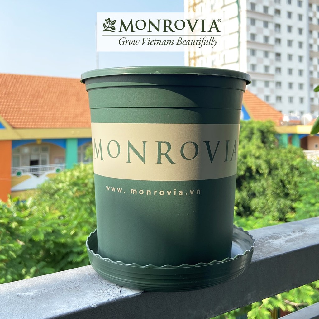 Combo 10 Đĩa lót chậu nhựa trồng cây MONROVIA 1gl, để bàn, treo ban công, treo tường, ngoài trời, sân vườn, chính hãng