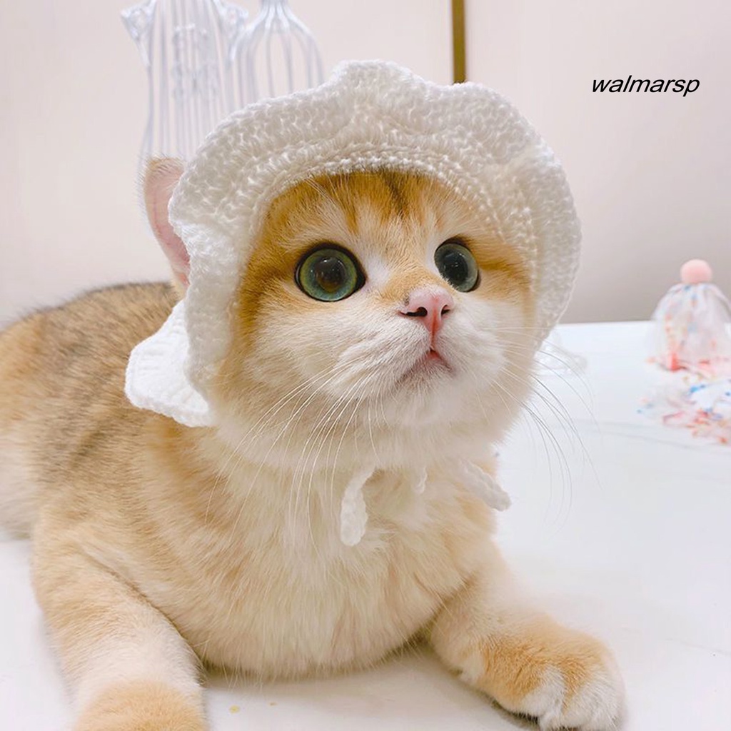 Óc Chó Mũ Dệt Kim Dễ Thương Độ Co Giãn Cao Có Thể Điều Chỉnh Trang Trí Cho Thú Cưng