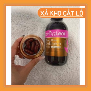 XẢ HẾT VIÊN UỐNG COLLAGEN SPRING LEAF INNER BEAUTY 6 IN 1  XẢ HẾT