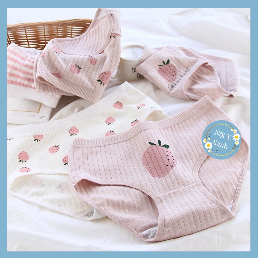 Quần Lót Cotton Co Dãn 4 Chiều Quả Dâu CuTe ( Chọn Màu ) giá rẻ tốt