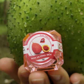 Son dưỡng môi thiên nhiên từ dầu gấc