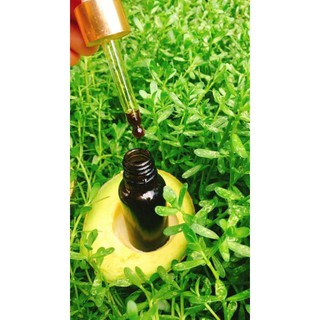 Tinh dầu bơ handmade 20ml