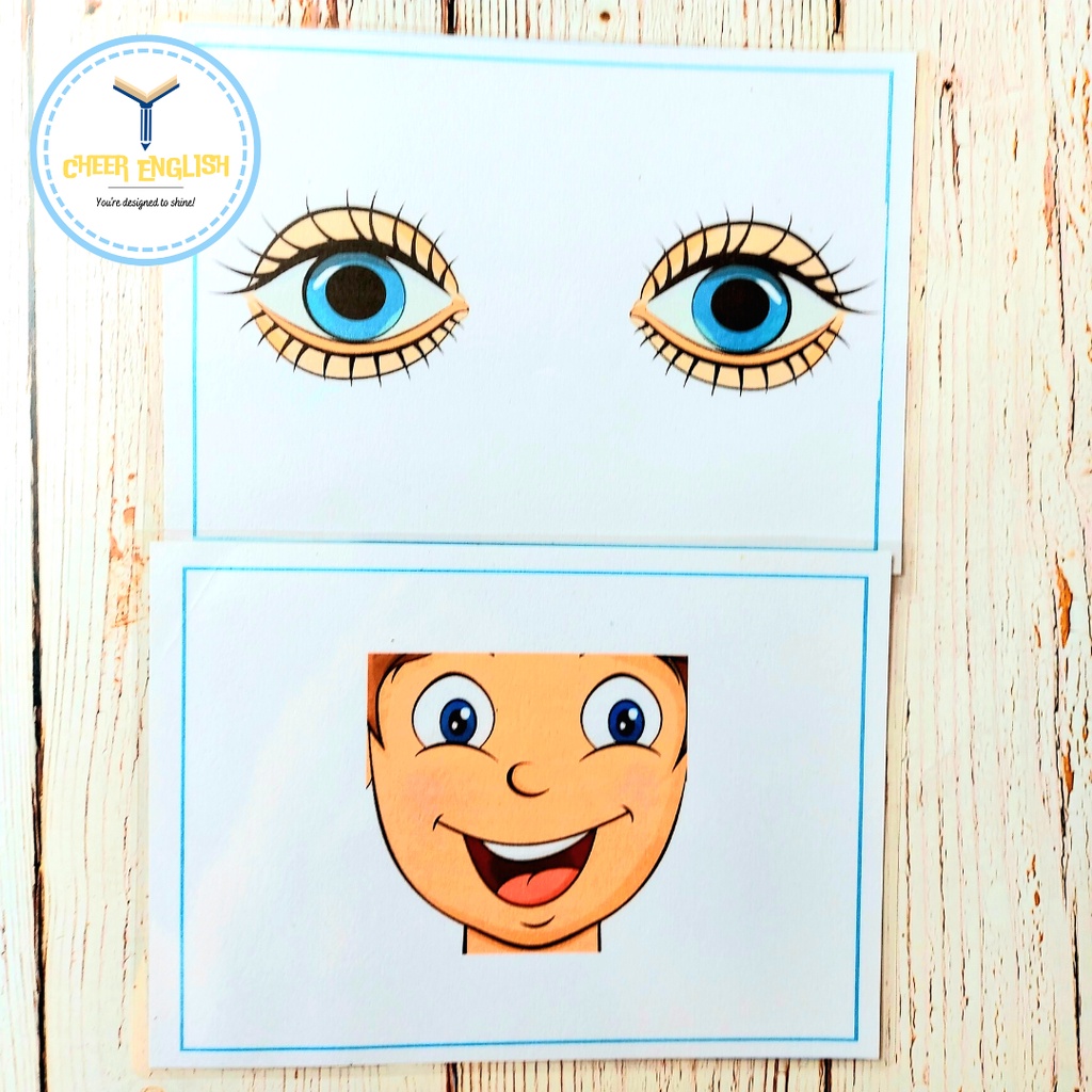 Flashcard chủ đề bộ phận cơ thể thẻ học Tiếng Anh ép plastic