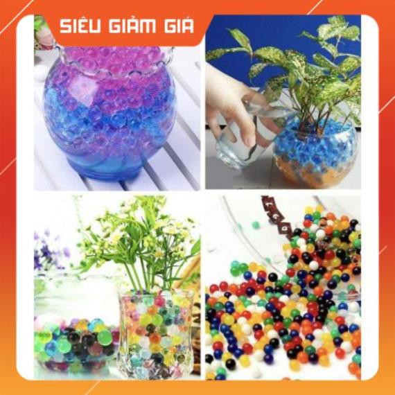 (RẺ NHẤT) Đất Tinh Thể Trồng Cây Sắc Màu GreenSmile - Home and Garden