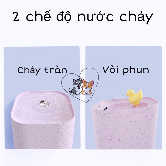 Máy uống nước tự động cho chó mèo