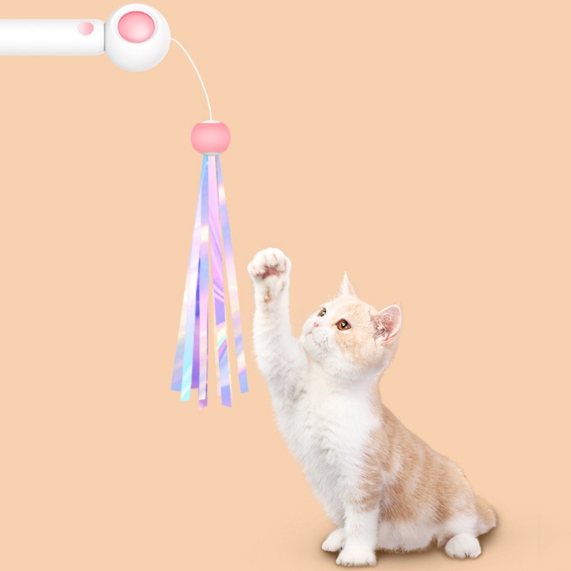 Đồ Chơi Tương Tác Với Mèo Đính Lông Vũ Vui Nhộn