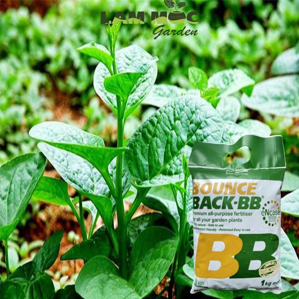 Phân hữu cơ Úc đậm đặc - Bounce Back - Gói 1 ký