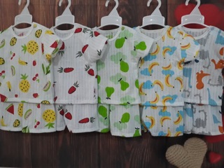Combo 3 bộ, 6 bộ cotton giấy cộc