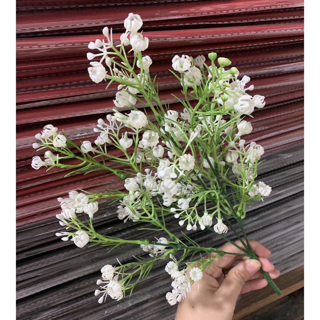 HOA Baby NHỰA DÙNG TRANG TRÍ