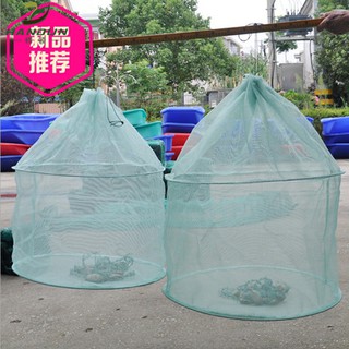 Lưới nuôi cá, tôm, cá, tôm, cá, tôm, tôm, tôm, tôm, tôm, tôm, tôm, tôm, tôm, tôm, tôm, tôm, tôm, tôm, tôm, tôm