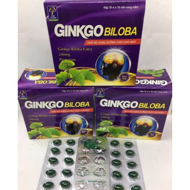 Ginkgo Biloba 240mg Bổ não, tăng cường tuần hoàn máu hiệu quả hộp 100 viên