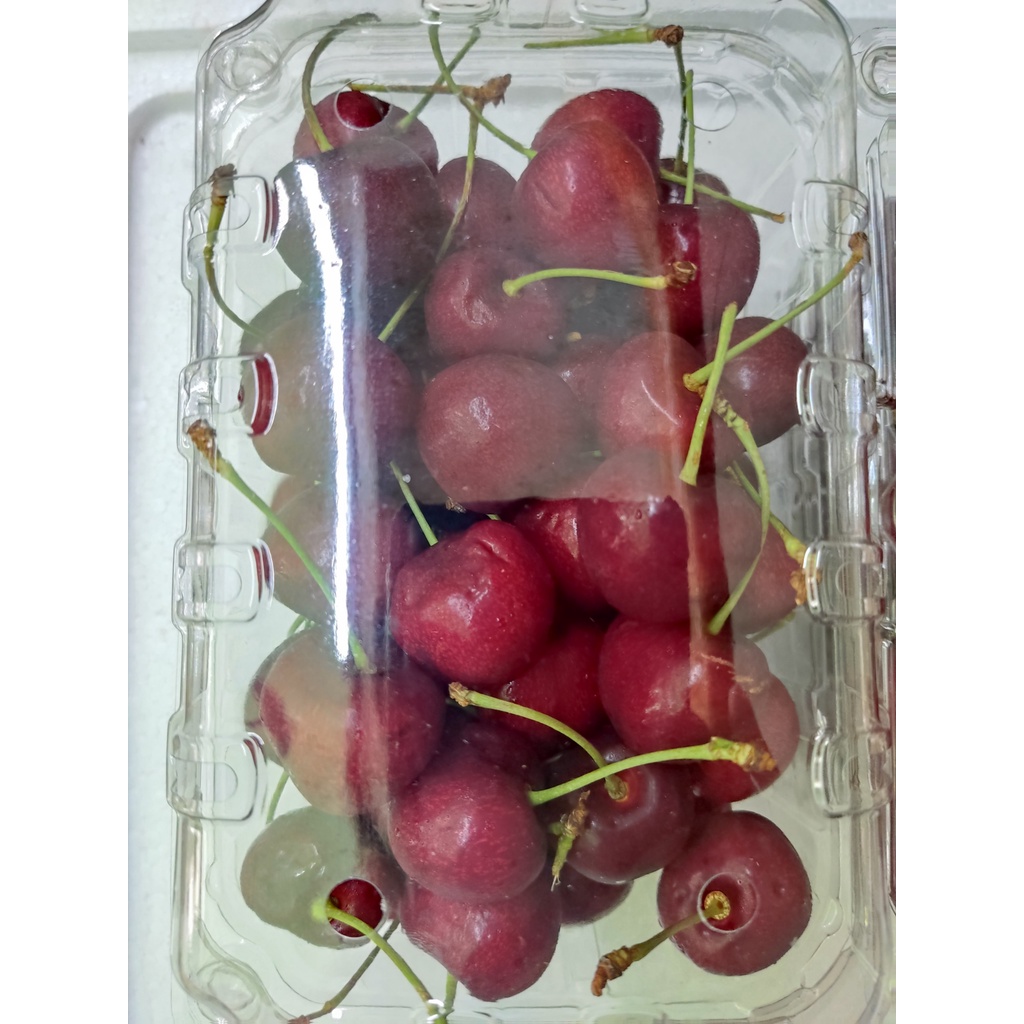 HCM Free Ship - 1kg Cherry Canada Chính Vụ Siêu Ngon Tươi Giòn Ngọt Lịm