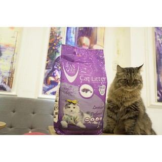 CÁT VỆ SINH CHO MÈO VANCAT 5KG NHẬP KHẨU CHÂU ÂU HƯƠNG LAVENDER