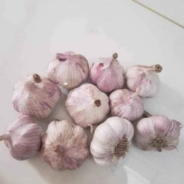 Tỏi tím siêu rẻ 1kg
