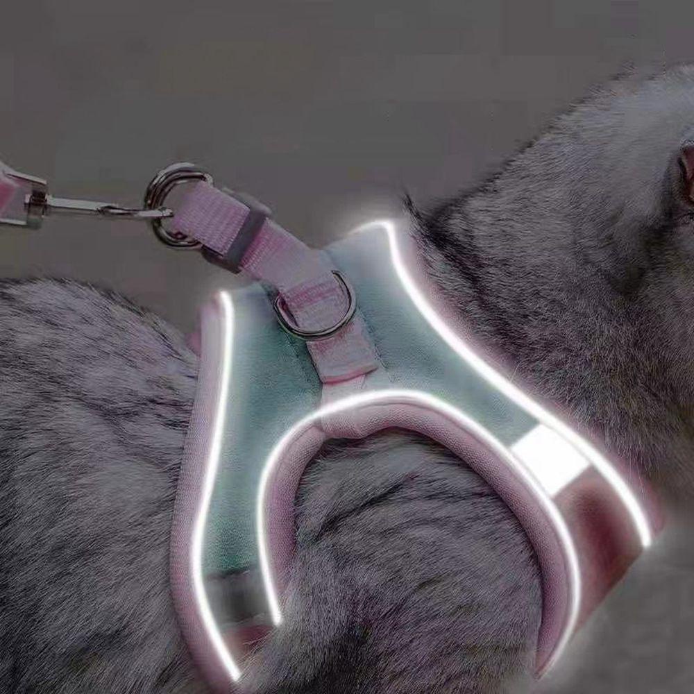 Đai Dắt Chó Mèo TYLER1 Mềm Mại Thoáng Khí Tùy Chỉnh Tiện Dụng