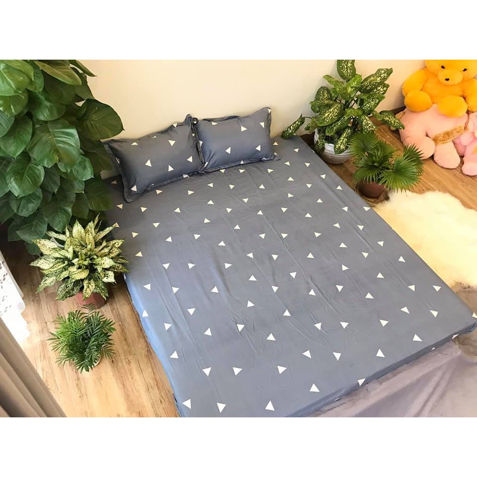Xả kho ga trải giường 1m6 giá rẻ nhất totobed mẫu 948