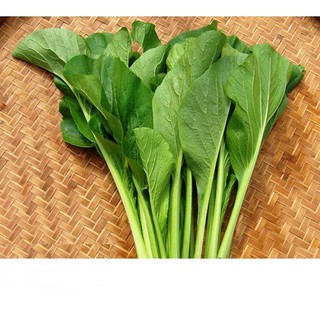 Hạt Giống Rau Cải Ngọt Giòn Ngọt, Năng Suất Cao 20gr
