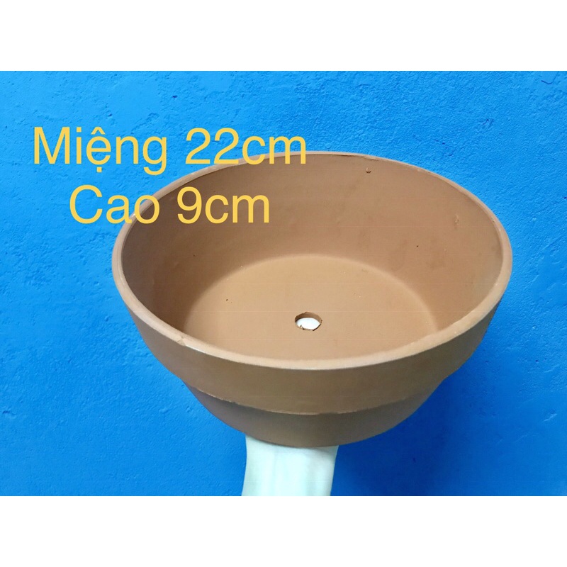 chậu đất nung 22cm - chậu đất nung dáng thau giá rẻ