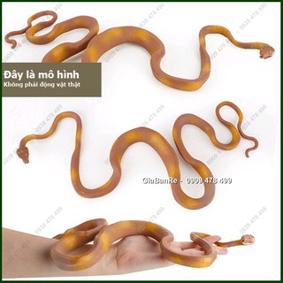 Mô Hình Rắn Trăn Boa - 7669.9