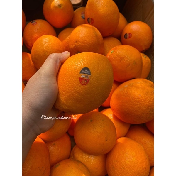 Trà cam quế HỮU CƠ