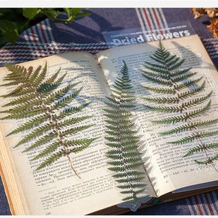 Bộ sticker hoa lá khô cỡ lớn STI13 VPPTUEMINH, nhãn dán hình cành lá hoa trang trí bullet journal