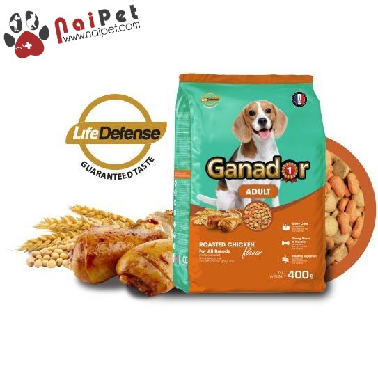 Thức Ăn Hạt Cho Chó Lớn Mọi Giống Chó Vị Thịt Gà Nướng Ganador Adult Gói 400g