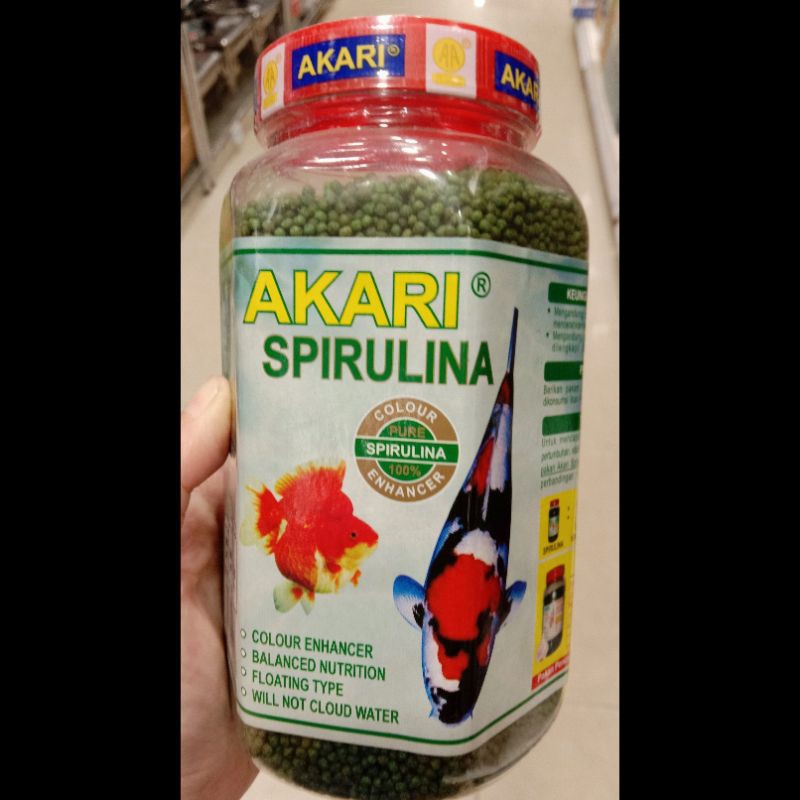 300 Cá Chép Vàng Koi Spirulina Super Red Nyam Is Delicious