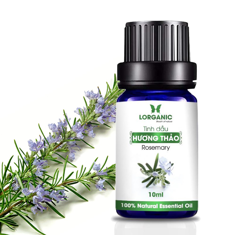 [FREE SHIP 50K] Tinh dầu hương thảo nguyên chất Lorganic Rosemary 100% Natural Essential Oil 10ml