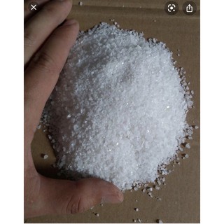 [RẺ ĐẸP] SỎI TRẮNG TRỒNG CÂY.3k/200g