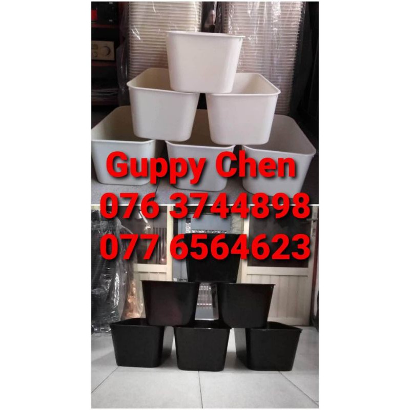 Combo 20 khay đen khay trắng nuôi cá